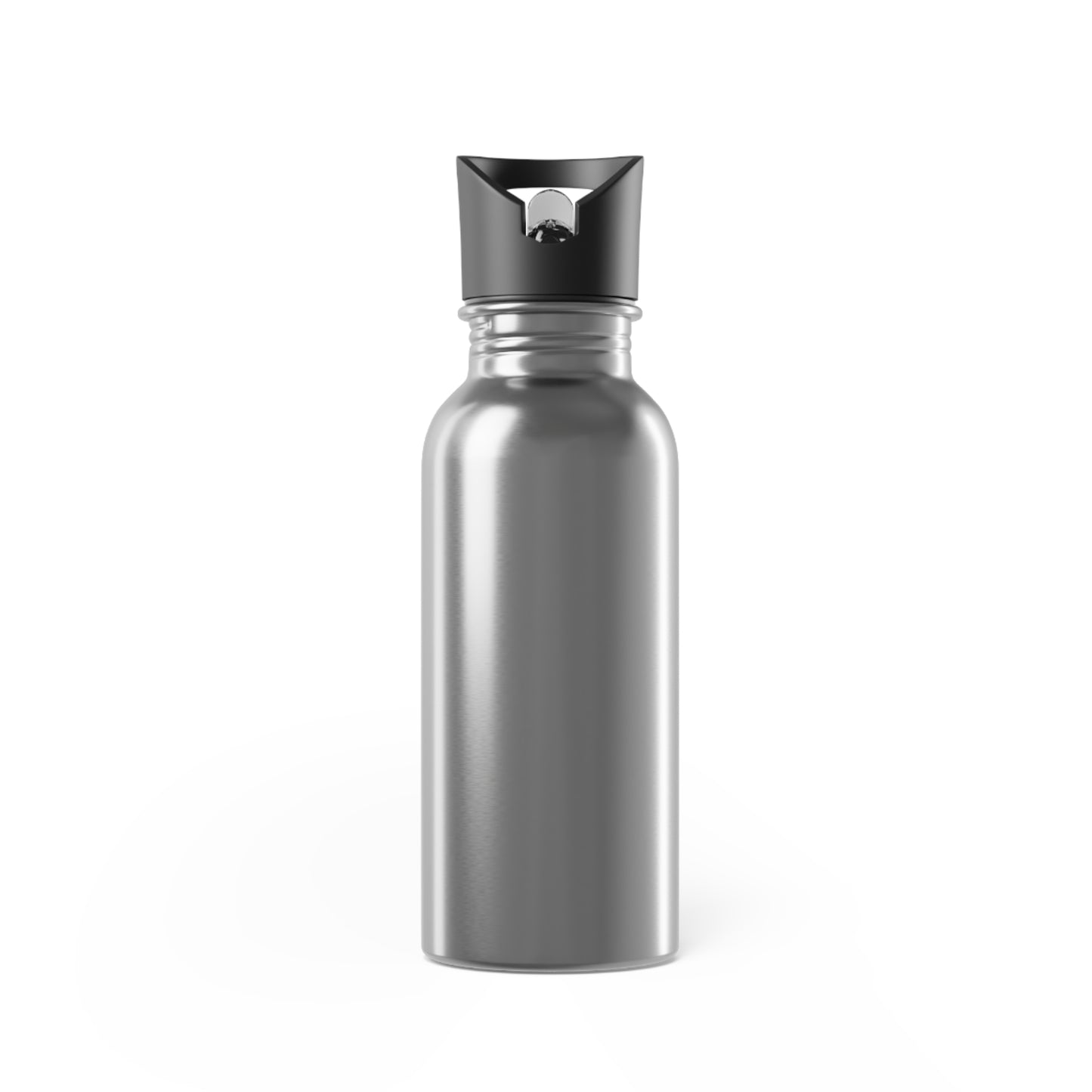 Martin's Stainless Steel Water Bottle With Straw, 20oz
